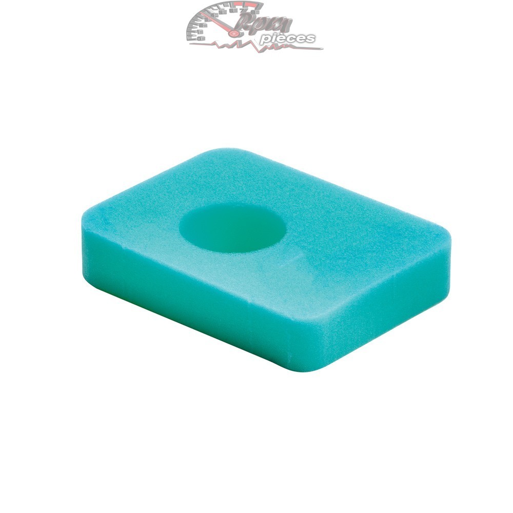 799579 Filtre à air Briggs & Stratton