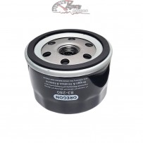 696854 Filtre à huile Briggs & Stratton