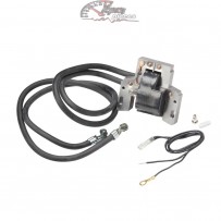 394891 Briggs & Stratton...
