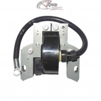 496914 Bobine d'allumage Briggs & Stratton