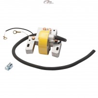 298968 Bobine d'allumage Briggs & Stratton
