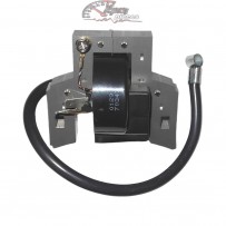 397358 Bobine d'allumage Briggs & Stratton