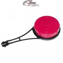 591003 Bouchon de réservoir Briggs & Stratton