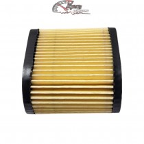 36905 Filtre à air pour moteur Tecumseh