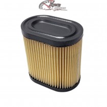 36905 Filtre à air pour moteur Tecumseh