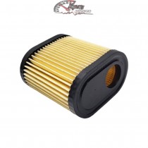 36905 Filtre à air pour moteur Tecumseh
