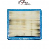 36046 Air Filter for Tecumseh Engine