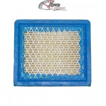 36046 Air Filter for Tecumseh Engine