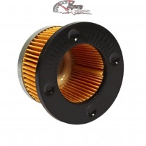 30727 Filtre à air pour moteur Tecumseh