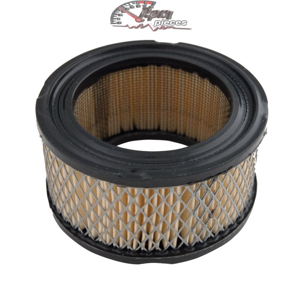 31925 Air Filter for Tecumseh Engine