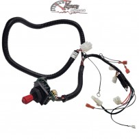 925-06247 Harness MTD