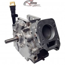 699510 Bloc moteur Briggs & Stratton