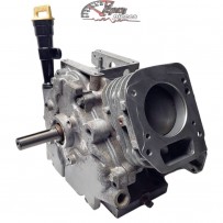 699510 Bloc moteur Briggs & Stratton