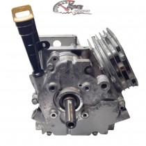 699510 Bloc moteur Briggs & Stratton