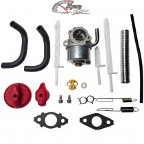 798917 Carburateur Briggs & Stratton