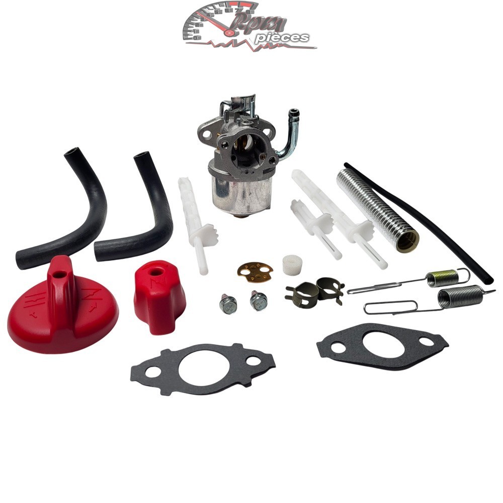 798917, 794587, 791953 – Carburateur Briggs & Stratton | Rpm pièces