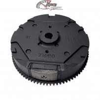 798882 Flywheel Briggs & Stratton