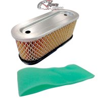 36356 Air Filter for Tecumseh Engine