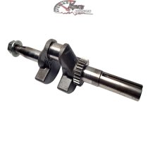 797253 Vilebrequin Briggs & Stratton