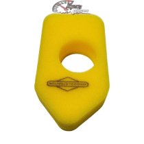 698369 Air filter for Briggs & Stratton