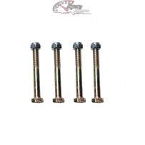 102036 Boulons de sécurité