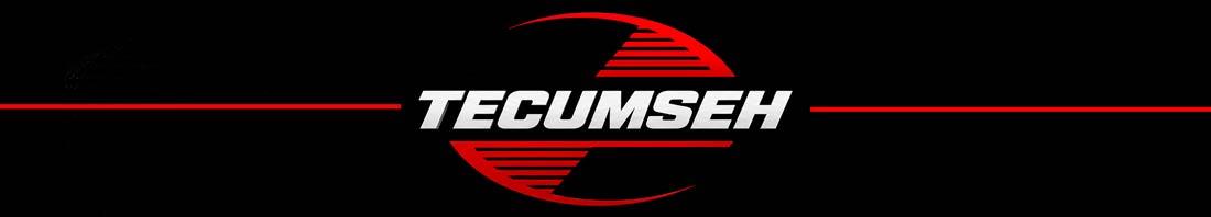 logo Tecumseh