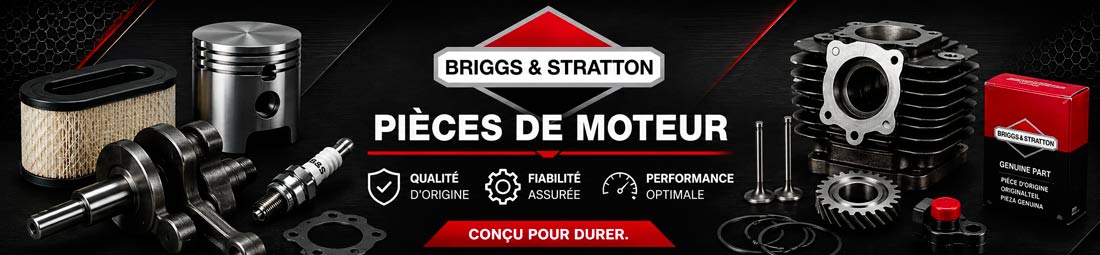 Pièces-Briggs-&-Stratton