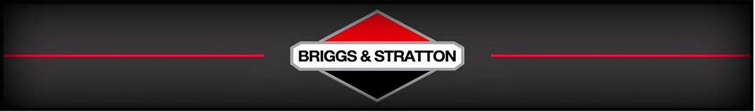 logo-briggs-stratton